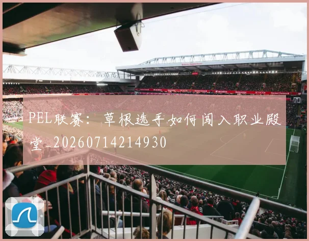 PEL联赛:草根选手如何闯入职业殿堂_20260714214930