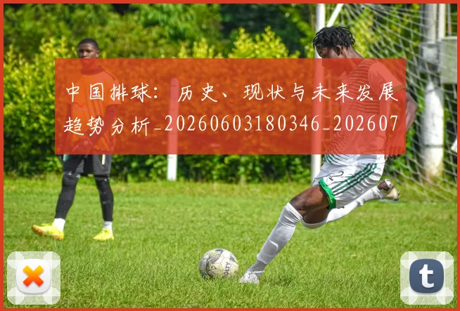 中国排球:历史、现状与未来发展趋势分析_20260603180346_20260703203048