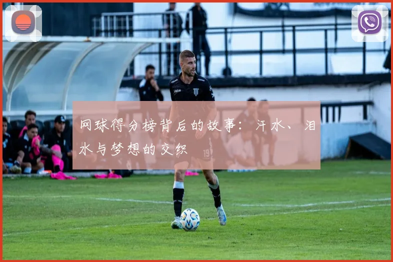 网球得分榜背后的故事:汗水、泪水与梦想的交织