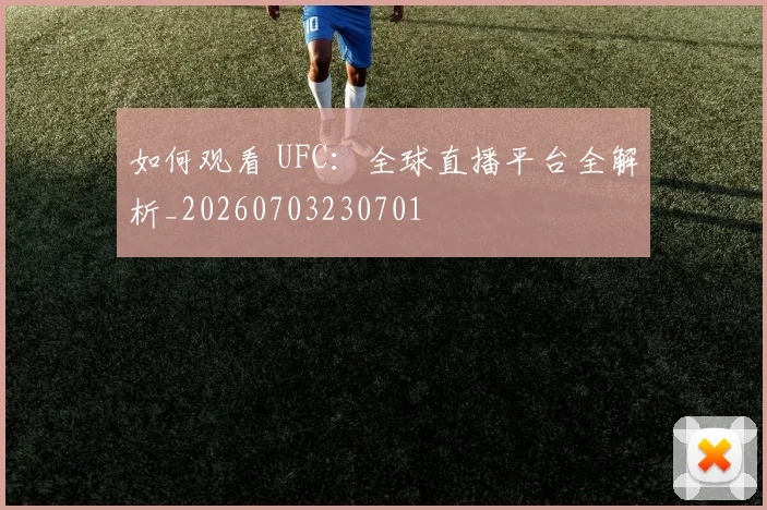 如何观看 UFC：全球直播平台全解析_20260703230701