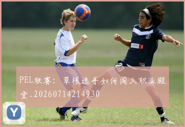 PEL联赛:草根选手如何闯入职业殿堂_20260714214930