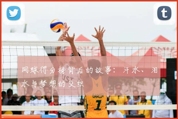 网球得分榜背后的故事:汗水、泪水与梦想的交织