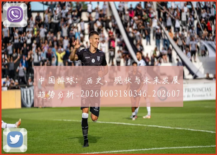 中国排球:历史、现状与未来发展趋势分析_20260603180346_20260716183359