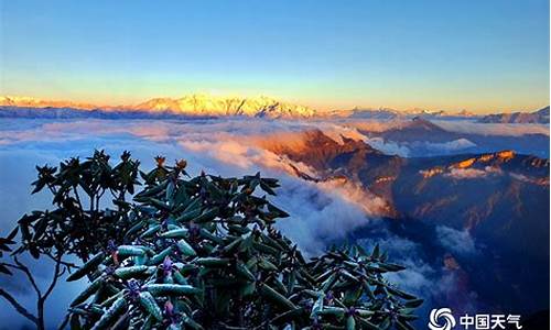 牛背山天气预报7天一周查询表_牛背山天气预报