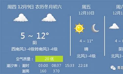 青岛天气预报实时动态_青岛天气预报实时播报