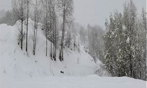 积石山天气预报15天查询_积石山天气