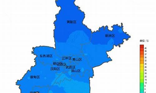 新洲区天气预报15天查询当地_新洲区天气预报15天查询